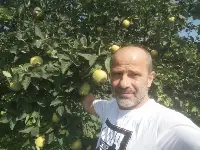 Ayva üreticisi müşteri bekliyor