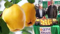 Dünya Ayvayı Geyve’den yiyor