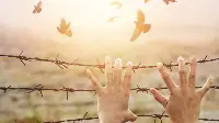 İnsan Hakları ve Batı’nın İkiyüzlülüğü