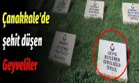 ÇANAKKALE 'DE ŞEHİT OLAN 76 GEYVELİ