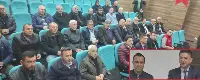 KAHVERENGİ KOKARCANIN ZARARLARI
