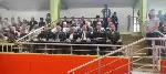 Geyve'de 19 Mayıs Coşkusu Doruktaydı! Unutulmaz Kutlama