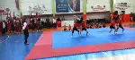 Geyve'de 19 Mayıs Coşkusu Doruktaydı! Unutulmaz Kutlama