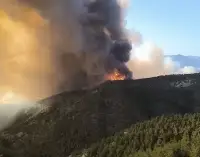 Geyve'de Alevler Gökyüzünü Sardı! Yerleşim Yeri Tehdit Altında, Mahalle Tahliye Edildi!