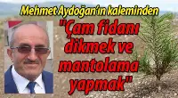 Zeytinyağlı Yiyemem