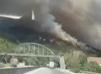 Sakarya Geyve'de Orman Yangını Sürüyor