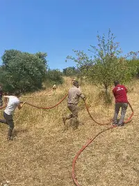 Geyve'de Alevler Gökyüzünü Sardı! Orman Yangını Korkuttu!