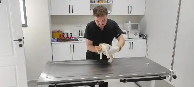 Geyve'de Miniklere Hayvan Sevgisi Aşılandı