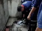 Geyve'de Yavru Kedi Kurtarıldı