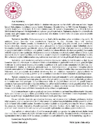 OKULLARDA YAŞANAN SİLAHLI SALDIRI İLE İLGİLİ BASIN AÇIKLAMASI