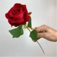 ​Aşılmaz Engeller Engel Değildir